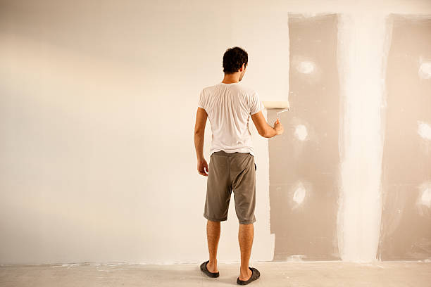 Best Wall Texturing and Painting  in Coal Grove, OH